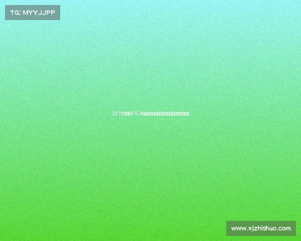 2018世界杯FIFA护旗手回顾与精彩瞬间全记录幕后故事解析